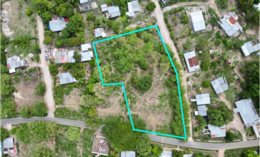COCLE / RIO HATO / 5606M / SOBRE LA VIA / TOPOGRAFIA PLANA / AG