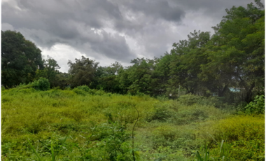 COCLE / RIO HATO / 5606M / SOBRE LA VIA / TOPOGRAFIA PLANA / AG
