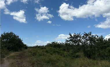 COCLE / RIO HATO / 110 HECTAREAS / SOBRE LA VIA / USO COMERCIAL / AG