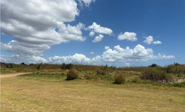 COCLE / RIO HATO / 110 HECTAREAS / SOBRE LA VIA / USO COMERCIAL / AG