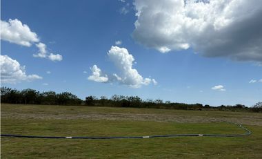 COCLE / RIO HATO / 110 HECTAREAS / SOBRE LA VIA / USO COMERCIAL / AG