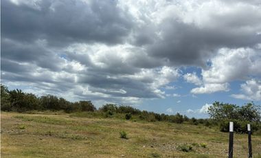 COCLE / RIO HATO / 110 HECTAREAS / SOBRE LA VIA / USO COMERCIAL / AG