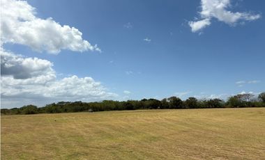 COCLE / RIO HATO / 110 HECTAREAS / SOBRE LA VIA / USO COMERCIAL / AG