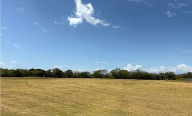 COCLE / RIO HATO / 110 HECTAREAS / SOBRE LA VIA / USO COMERCIAL / AG