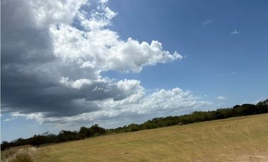 COCLE / RIO HATO / 110 HECTAREAS / SOBRE LA VIA / USO COMERCIAL / AG