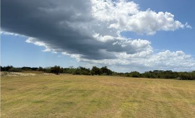 COCLE / RIO HATO / 110 HECTAREAS / SOBRE LA VIA / USO COMERCIAL / AG