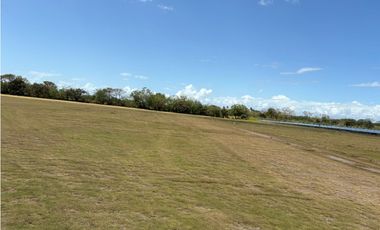 COCLE / RIO HATO / 110 HECTAREAS / SOBRE LA VIA / USO COMERCIAL / AG