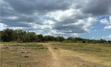 COCLE / RIO HATO / 110 HECTAREAS / SOBRE LA VIA / USO COMERCIAL / AG