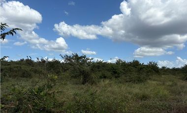 COCLE / RIO HATO / 110 HECTAREAS / SOBRE LA VIA / USO COMERCIAL / AG