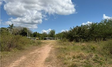 COCLE / RIO HATO / 110 HECTAREAS / SOBRE LA VIA / USO COMERCIAL / AG