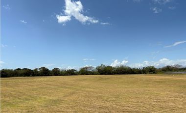 COCLE / RIO HATO / 110 HECTAREAS / SOBRE LA VIA / USO COMERCIAL / AG