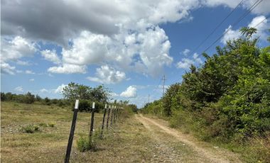 COCLE / RIO HATO / 110 HECTAREAS / SOBRE LA VIA / USO COMERCIAL / AG