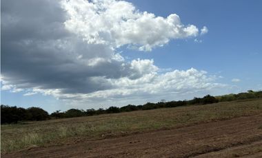 COCLE / RIO HATO / 110 HECTAREAS / SOBRE LA VIA / USO COMERCIAL / AG