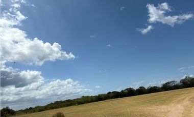 COCLE / RIO HATO / 110 HECTAREAS / SOBRE LA VIA / USO COMERCIAL / AG