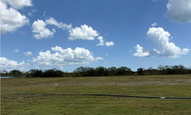 COCLE / RIO HATO / 110 HECTAREAS / SOBRE LA VIA / USO COMERCIAL / AG