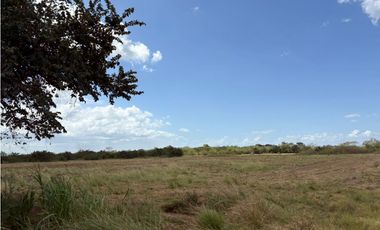 COCLE / RIO HATO / 110 HECTAREAS / SOBRE LA VIA / USO COMERCIAL / AG