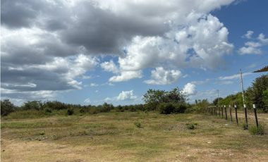 COCLE / RIO HATO / 110 HECTAREAS / SOBRE LA VIA / USO COMERCIAL / AG