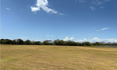 COCLE / RIO HATO / 110 HECTAREAS / SOBRE LA VIA / USO COMERCIAL / AG