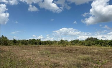 COCLE / RIO HATO / 110 HECTAREAS / SOBRE LA VIA / USO COMERCIAL / AG