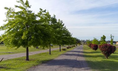 Lote a la Venta en Los Juncos
