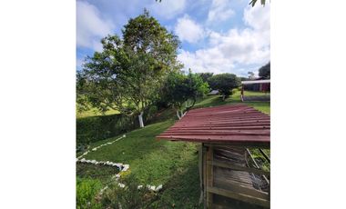 Beautiful Small Finca On Sale In Filandia Quindio