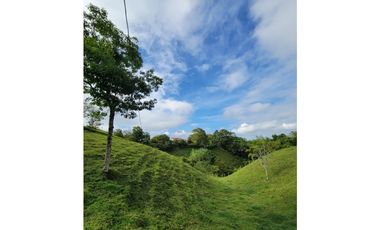 Beautiful Small Finca On Sale In Filandia Quindio