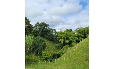 Beautiful Small Finca On Sale In Filandia Quindio