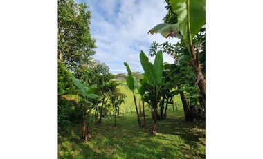 Beautiful Small Finca On Sale In Filandia Quindio