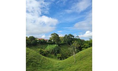 Beautiful Small Finca On Sale In Filandia Quindio