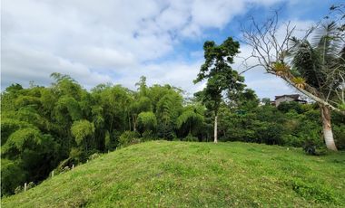 Beautiful Small Finca On Sale In Filandia Quindio