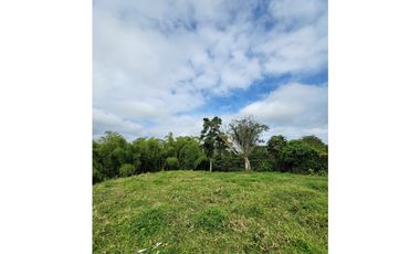 Beautiful Small Finca On Sale In Filandia Quindio