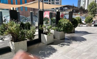 Local Comercial en Arriendo en Reñaca norte frente a Av. Edmundo Eluchans