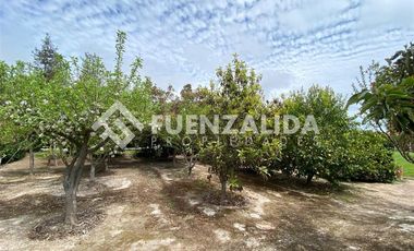 Casa en Arriendo en Lonquen Sur