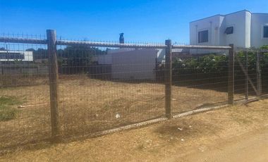 Terreno Construccion en Venta en Pingueral, Tomé