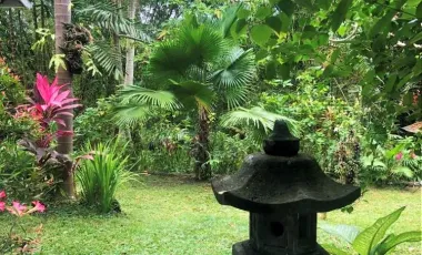 Land for sale in Mengwi, Bali