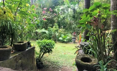 Land for sale in Mengwi, Bali