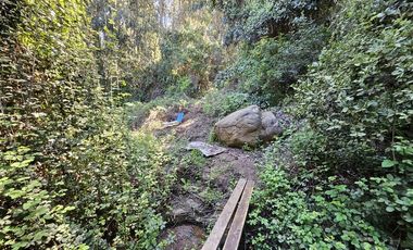 Departamento en Arriendo en Campus del mar 1111