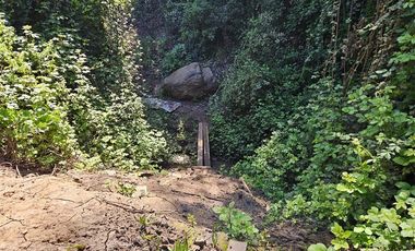 Departamento en Arriendo en Campus del mar 1111