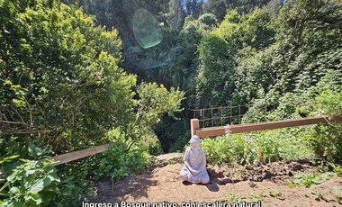 Departamento en Arriendo en Campus del mar 1111