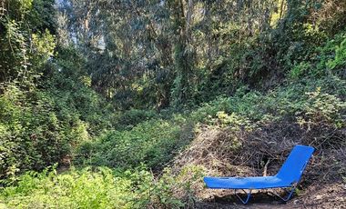 Departamento en Arriendo en Campus del mar 1111