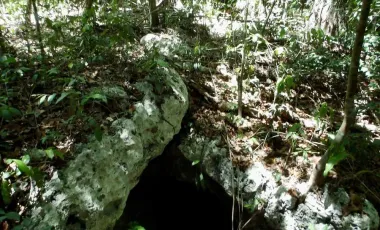 Terreno en Venta en Tulum – Zona Muyil