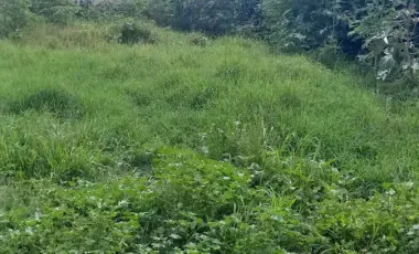 VENTA DE CASA UN SOLO NIVEL EN CHIPILO A UNAS CALLES DEL CENTRO