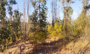 Sitio en Venta en OPORTUNIDAD  PARCELAS VERDE MAR, LIMACHE.