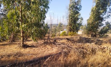 Sitio en Venta en OPORTUNIDAD  PARCELAS VERDE MAR, LIMACHE.