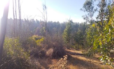 Sitio en Venta en OPORTUNIDAD  PARCELAS VERDE MAR, LIMACHE.