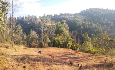 Sitio en Venta en OPORTUNIDAD  PARCELAS VERDE MAR, LIMACHE.