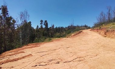 Parcela en Venta en LINCOYAN 425