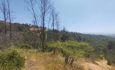 Parcela en Venta en LINCOYAN 425