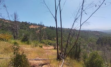 Parcela en Venta en LINCOYAN 425