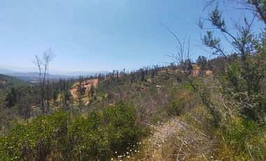 Parcela en Venta en LINCOYAN 425